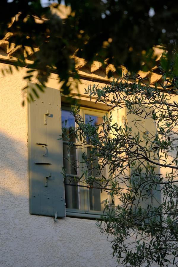 Bed and Breakfast Domaine Le Bois Des Dames Chantemerle-lès-Grignan Exteriér fotografie