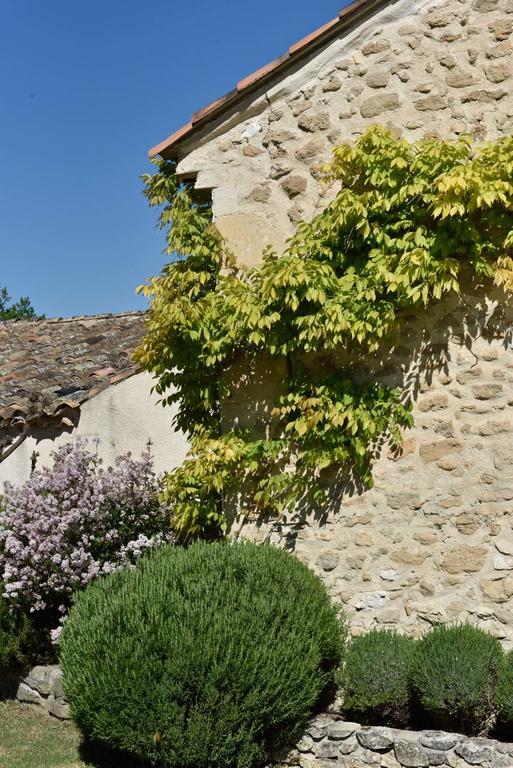Bed and Breakfast Domaine Le Bois Des Dames Chantemerle-lès-Grignan Exteriér fotografie