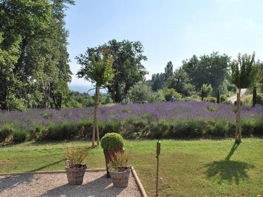 Bed and Breakfast Domaine Le Bois Des Dames Chantemerle-lès-Grignan Exteriér fotografie
